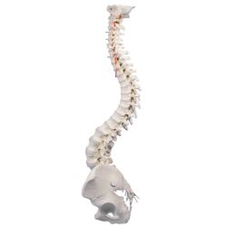 Stuburas su dubeniu - Erler Zimmer