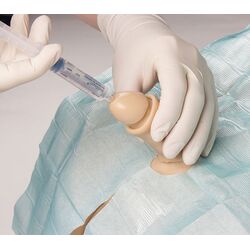 Šlapimo pūslės kateterizavimo simuliatorius Henri, vyriškas - Erler Zimmer