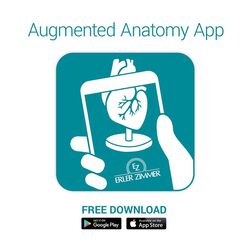 Plaučių modelis, pusė natūralaus dydžio - EZ Augmented Anatomy - Erler Zimmer