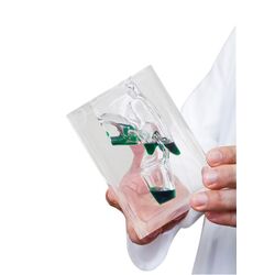 Skaidrus gerklės ryklės modelis - Erler Zimmer